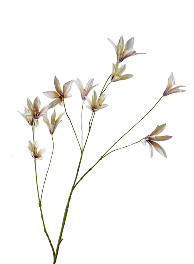 Silk-Ka LELIE TAK LAV/CR 85 cm