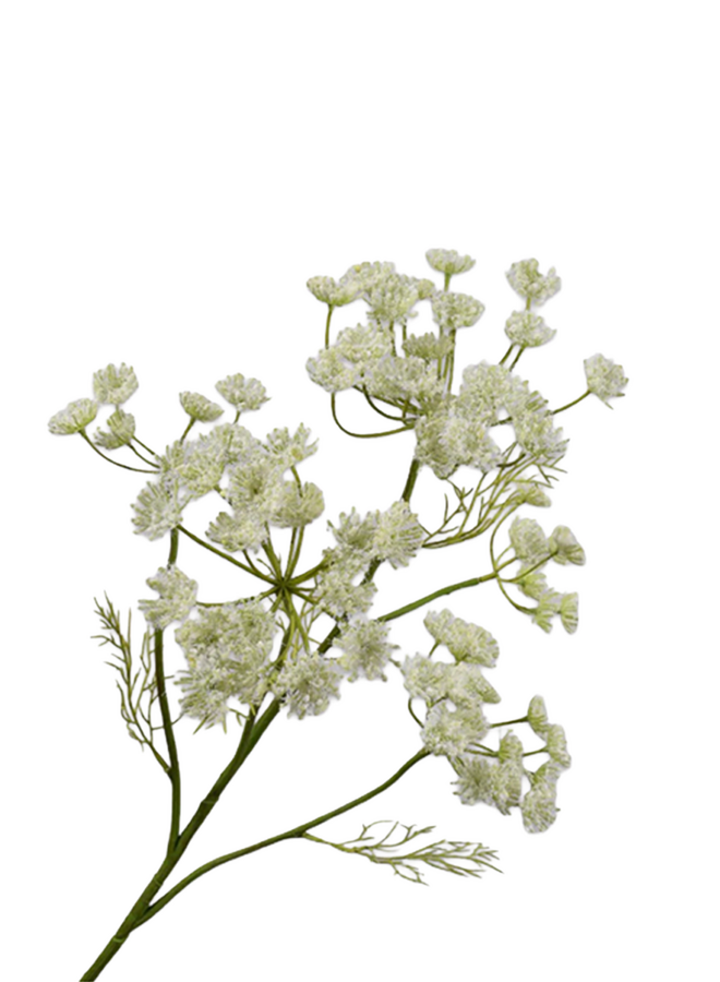 Silk-Ka DILLE TAK CREME 79 cm