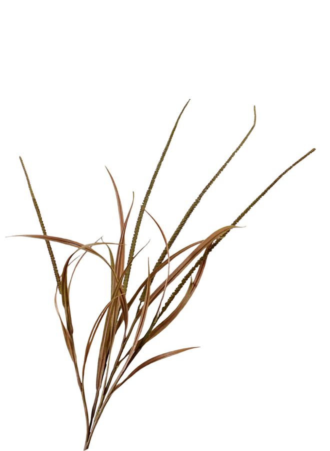 Silk-Ka Gras Tak Brn/ Grn 135 cm