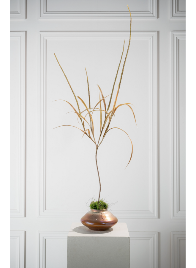 Silk-Ka Gras Tak Brn/ Grn 135 cm