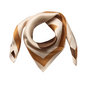 ShilaCC Silk Block Scarf Brown Co'Couture