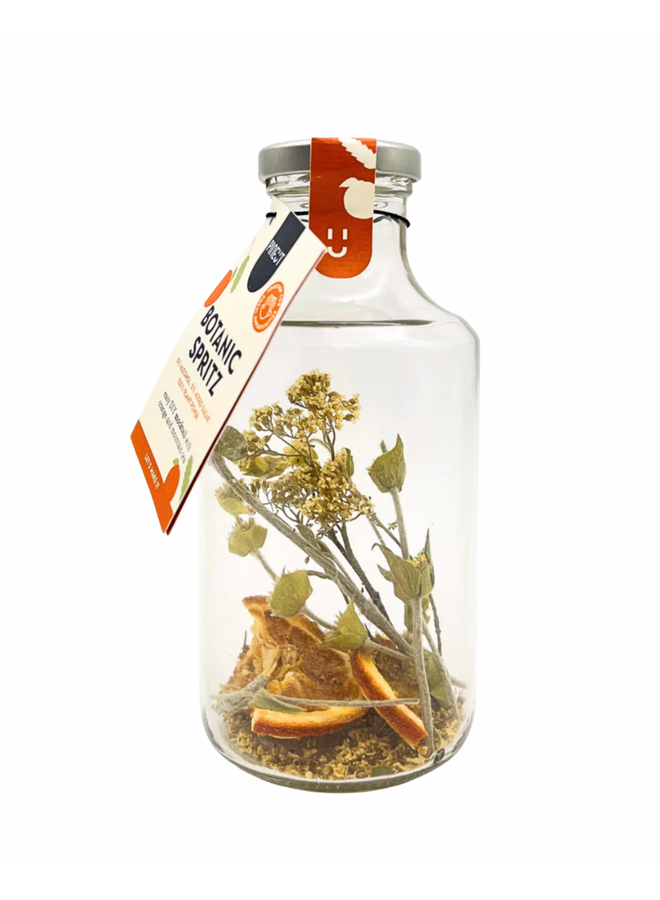 Pineut Mocktail Botanic Spritz Orange
