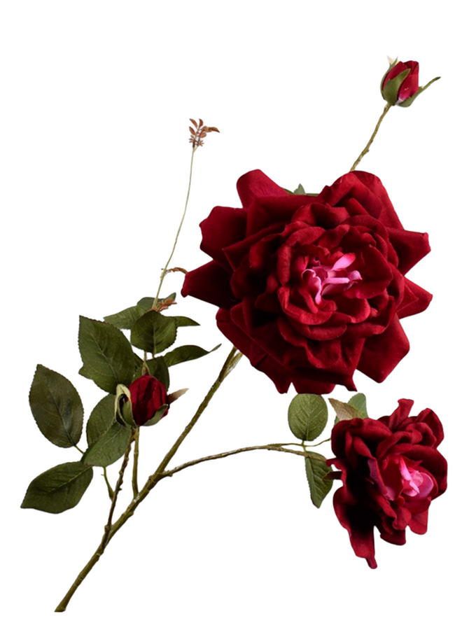 ROOS TAK BORDEAUX 102 cm Silk-Ka