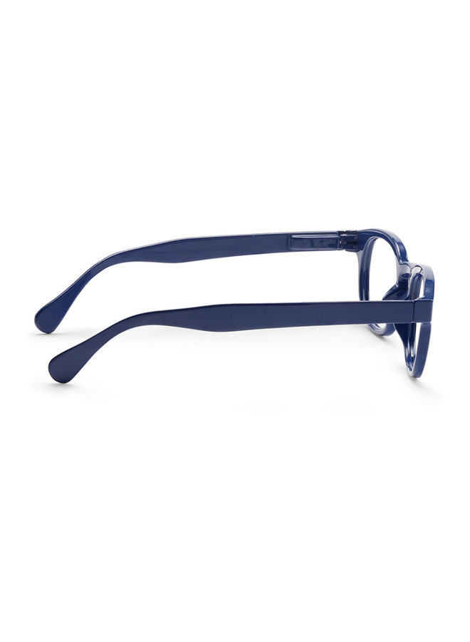 Type C Bio Readers - Blue