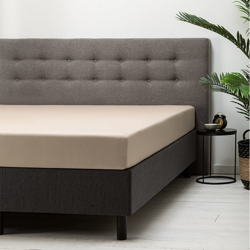 Hoeslaken Katoen - 80x200 cm - Zand - Fresh & Co - Ga naar Dekbed-Discounter.nl & Profiteer Nu Hoeslaken Katoen - 80x200 cm - Zand - Fresh & Co - Ga naar Dekbed-Discounter.nl & Profiteer Nu
