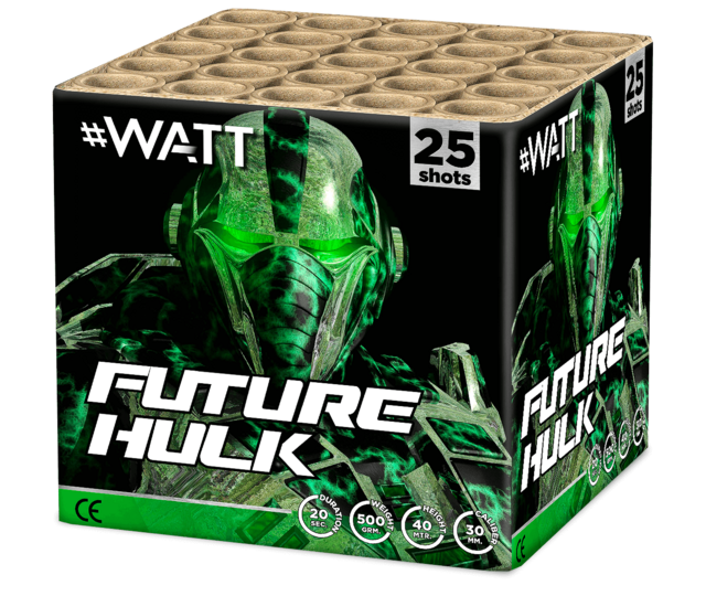 Future Hulk 25 schuss