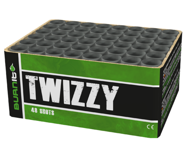 Twizzy 48 schüsse