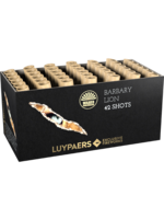 Luypaers Barbary Lion 42Sh