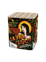 Lesli Vuurwerk La Vida Loca