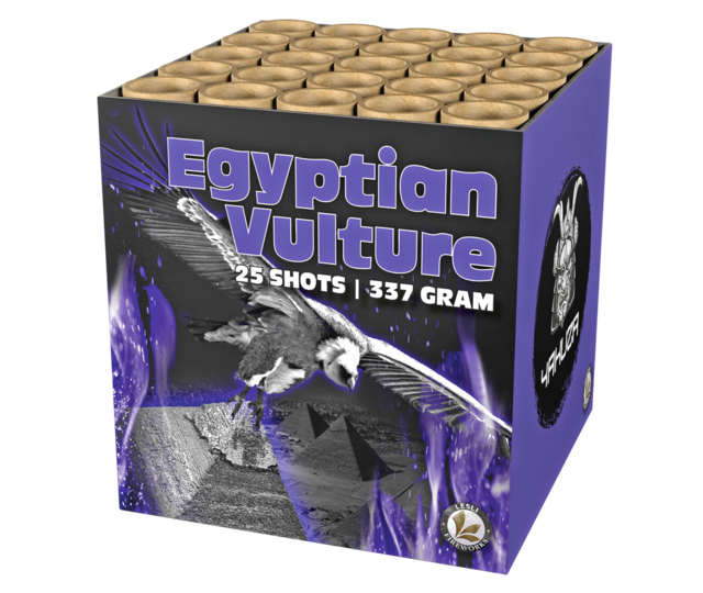 Egyptian Vulture 25 shots