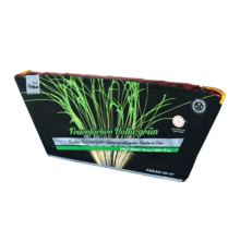 Feuerfächer Volta Grün