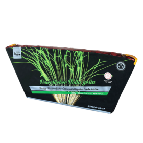 Feuerfächer Volta Grün