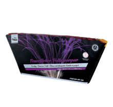 Feuerfächer Volta Purpur