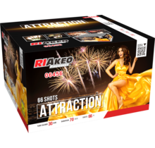 Attraction 66 Schüsse