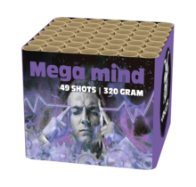 Mega Mind