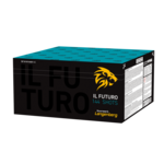 Vuurwerk Langenberg IL Futuro