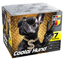 Cooler Hund 7 shots