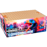 Lesli Vuurwerk Condor Junkie
