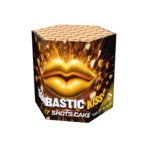 Vuurwerk Langenberg Bombastic Kiss