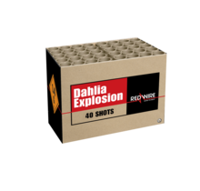 Dahlia Explosion 40 shots