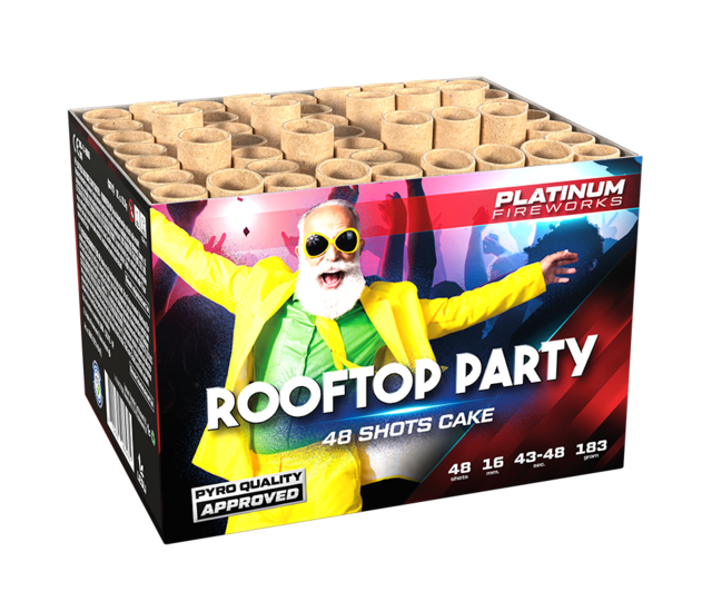 Rooftop Party 48 Schuss