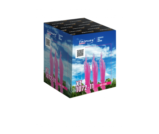 XT1072-11 Day Cake Roze