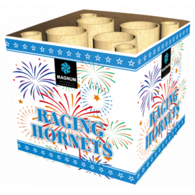 Raging Hornets Fountain