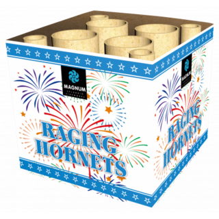 Raging Hornets Fountain