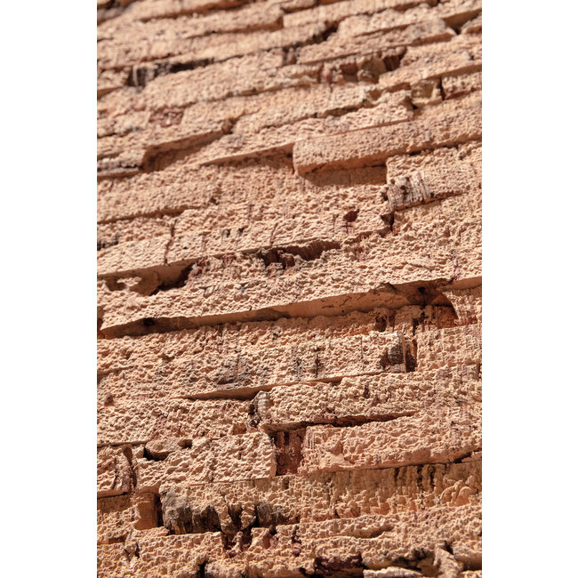 Kurk & Kurk Kurkschors Bellagio