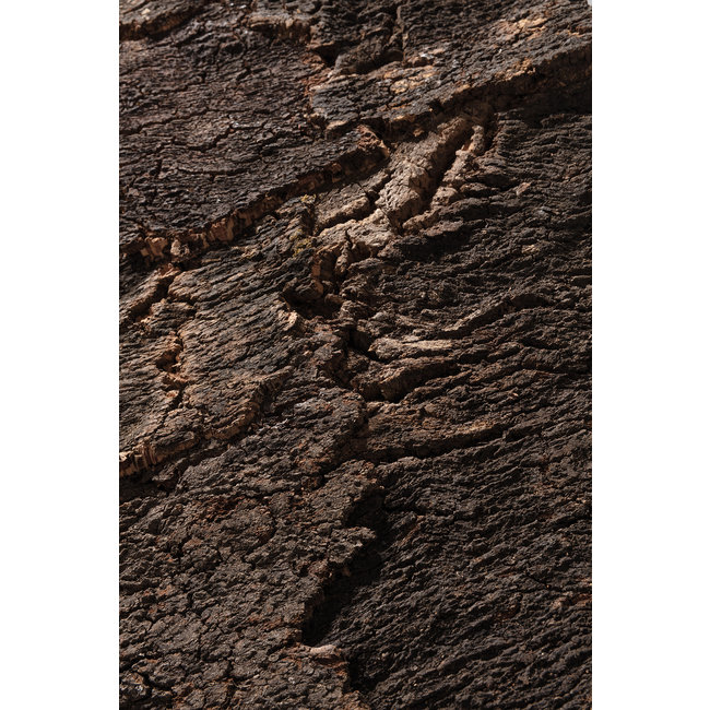 Kurk & Kurk Kurkschors cork bark