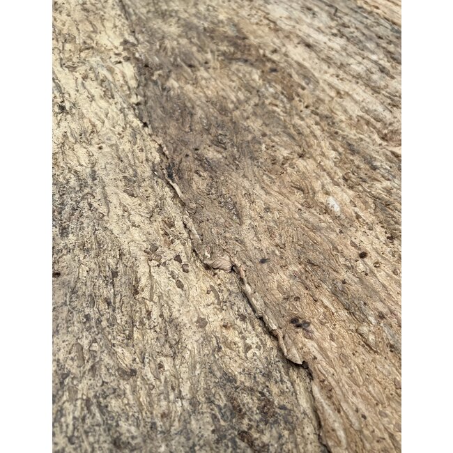 Kurk & Kurk Kurkschors cork forest back flat