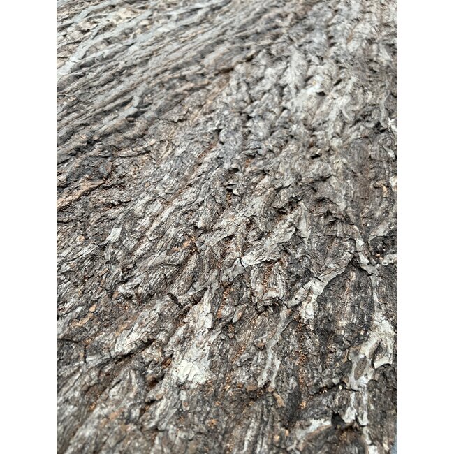 Kurk & Kurk Kurkschors cork forest flat