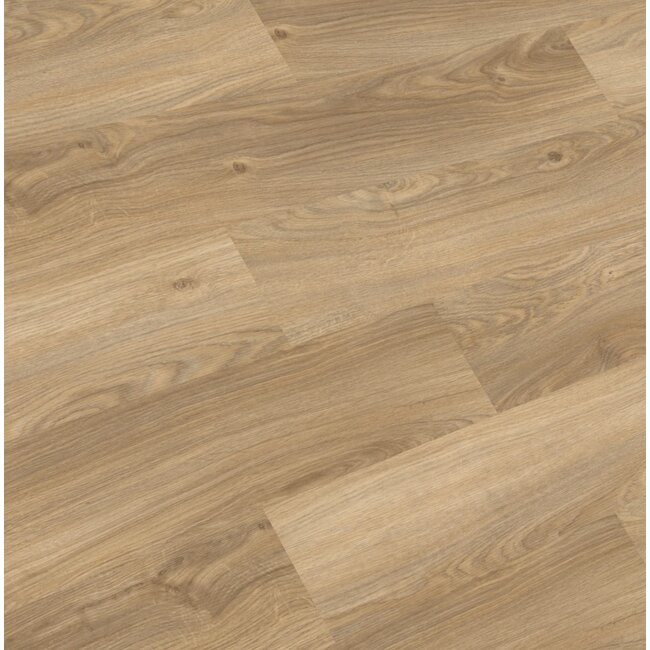 Amorim Wise KLIK Wood WISE Land Oak Plus (PROMO)
