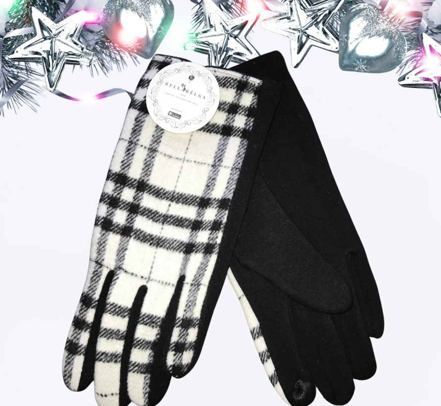 Winter handschoenen Classique