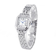Mats-Watch horloges - Belgisch merk  Mats Watch - SILVER GRACE- deluxe  dames