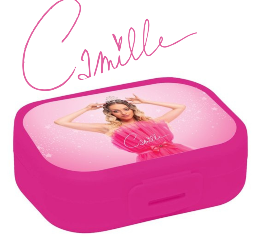 Camille lunchbox /brooddoos