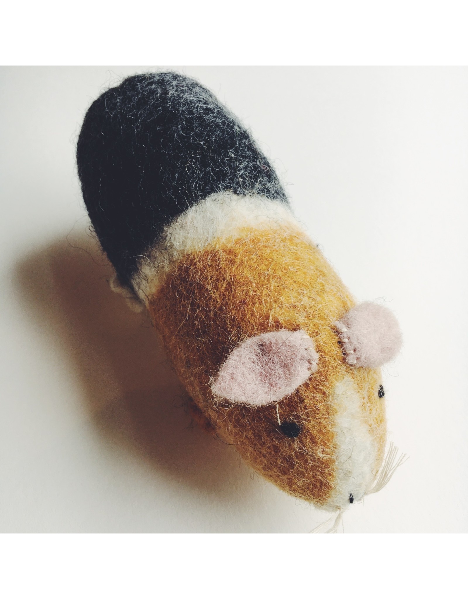 stuffed guinea pig
