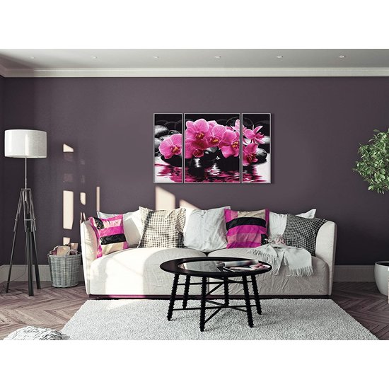 Schipper Schilderen op Nummer - Orchideeën