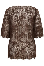 Kaffe curve Bloes KCcarley Lace Blouse Coffe Bean