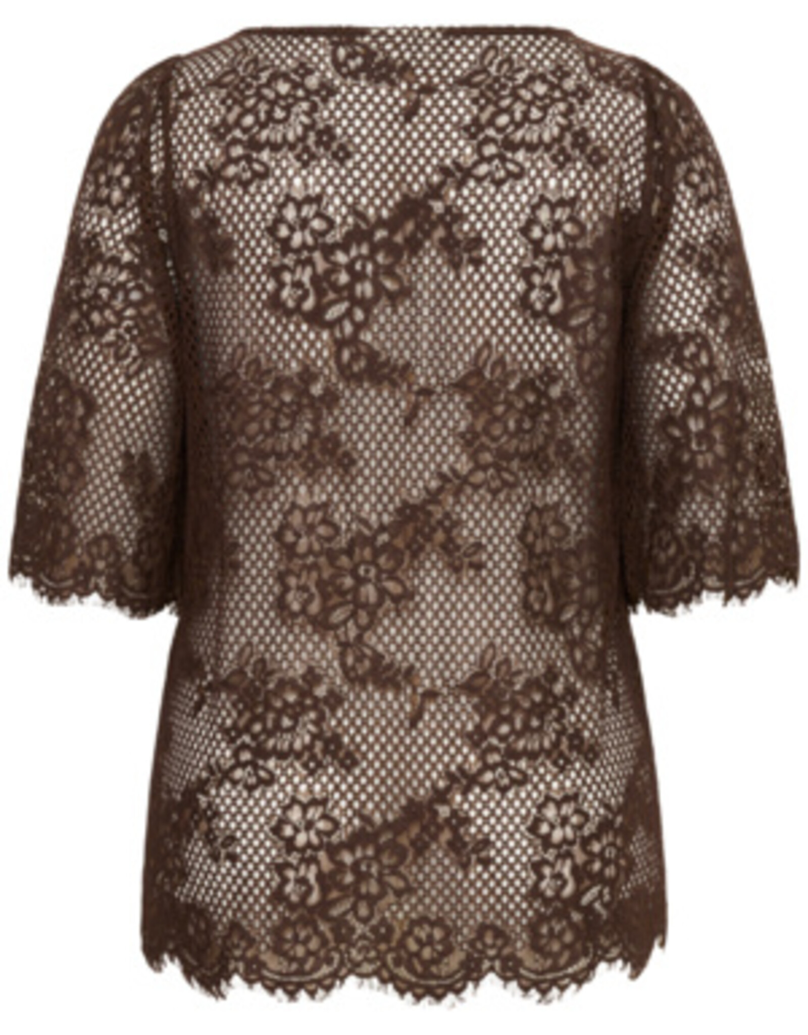 Kaffe curve Bloes KCcarley Lace Blouse Coffe Bean