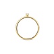 Blush Blush Ring 1200YZI - Geel Goud (14Krt.)