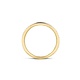 Blush Blush Ring 1119BZI - Geel en Wit Goud (14Krt.) met Zirconia