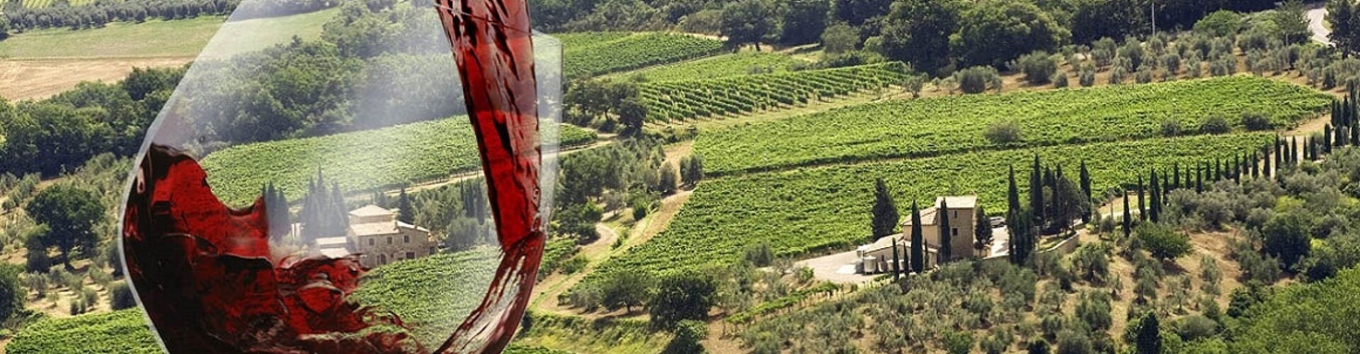 Ontdek Italiaanse druiven: klassiekers en verborgen parels