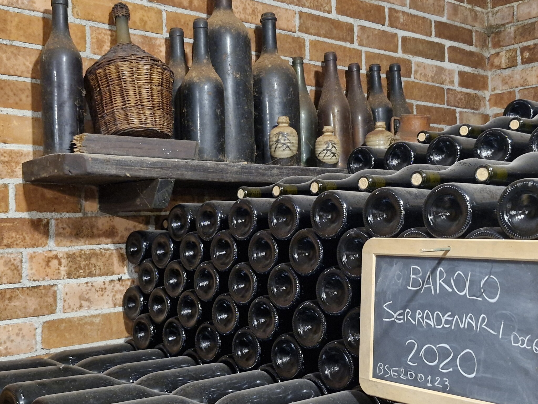 Wijngaarden in Piemonte voor Italiaanse rode wijn