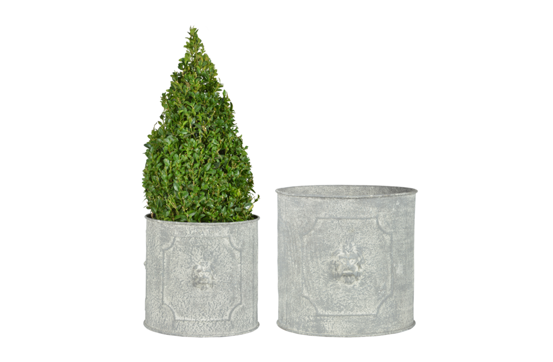 Esschert design - Aged Metal bloempot Leeuw rond set van 2