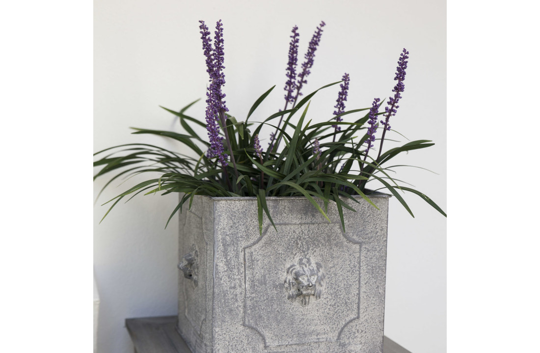 Esschert design - Aged Metal bloempot Leeuw vierkant set van 2