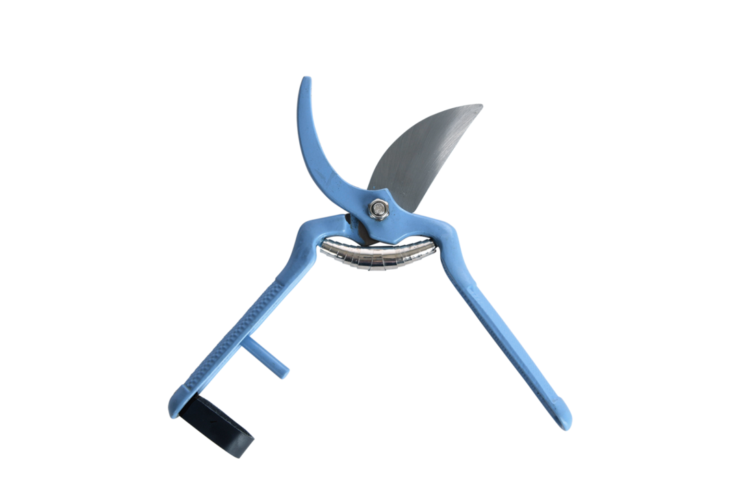 Esschert design - 50 tinten blauw snoeischaar (per stuk)