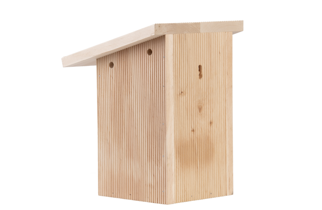 Pimpelmees nestkast in cadeaudoos