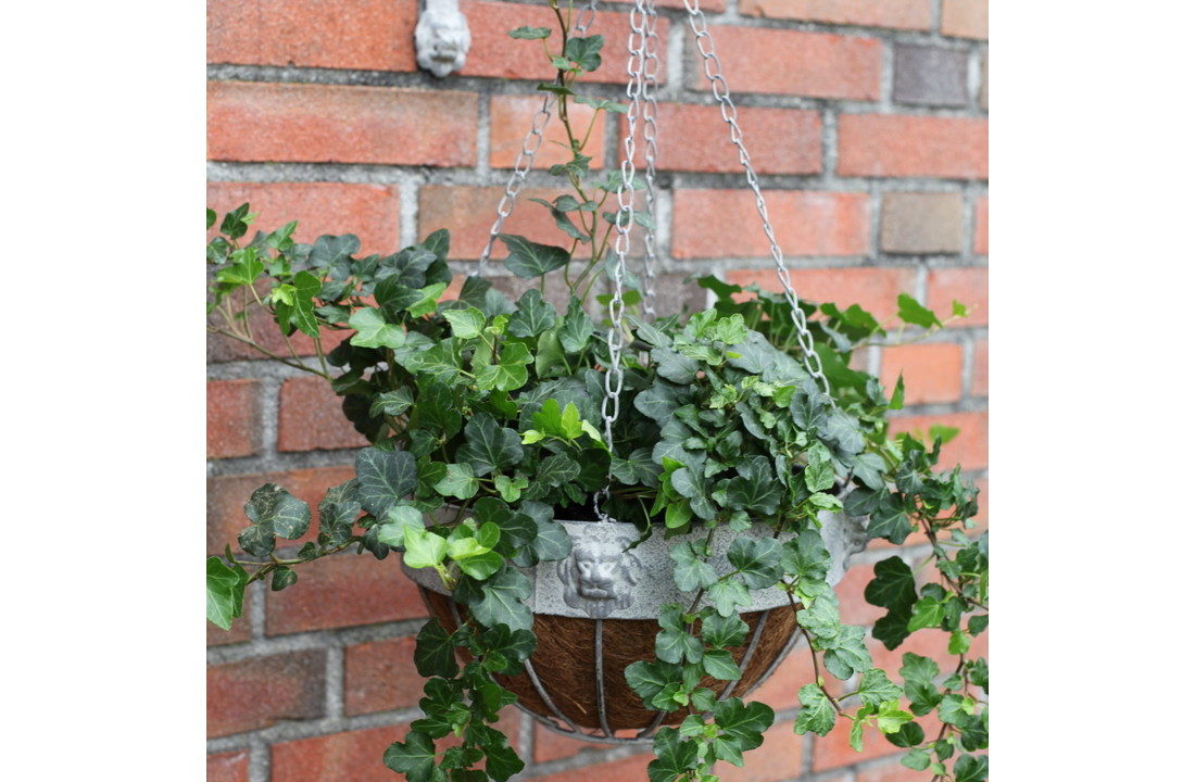Esschert design - Aged Metal leeuw hanging basket