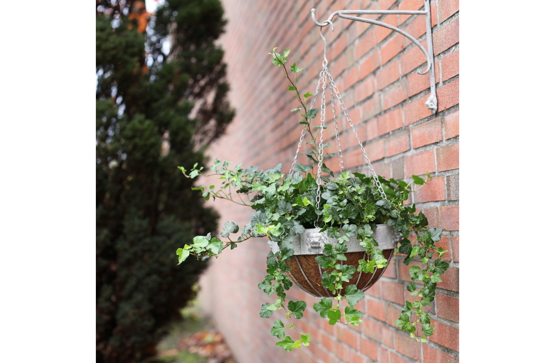Esschert design - Aged Metal leeuw hanging basket